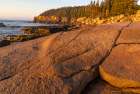 Otter Cliffs at sunrise n Acadia National Park-Maine-USA Art Print